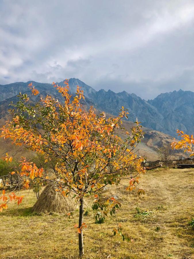 Mikheil Pitskhelauri Guest House Kazbegi Eksteriør billede